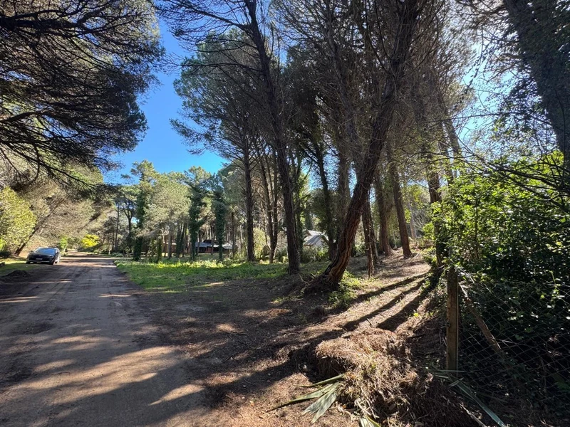 Foto 7