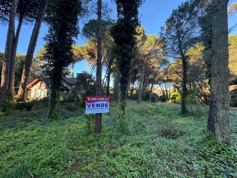 Terreno en venta · Cariló, Costa Atlántica, Provincia de Buenos Aires