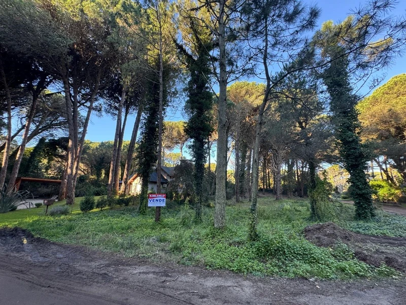 Terreno en venta · Cariló, Costa Atlántica, Provincia de Buenos Aires