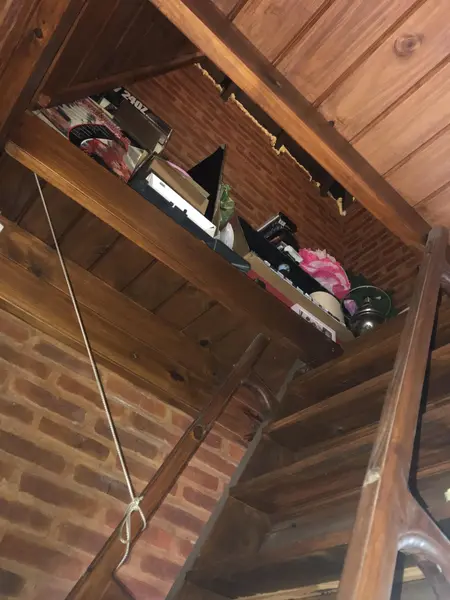 Foto 45