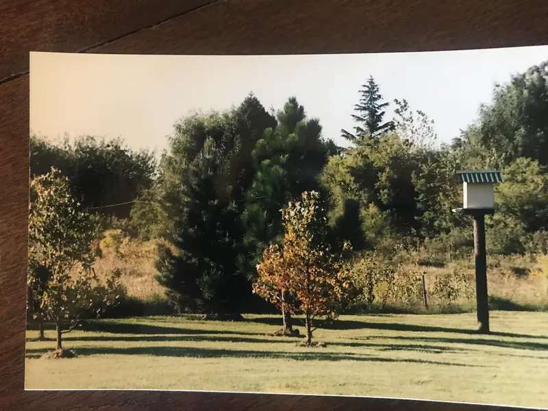 Foto 56