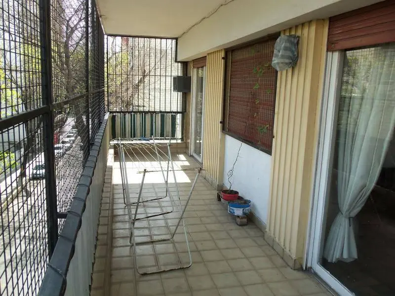 Foto 7