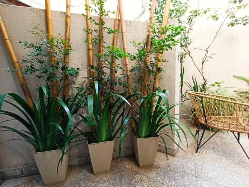 Foto 5