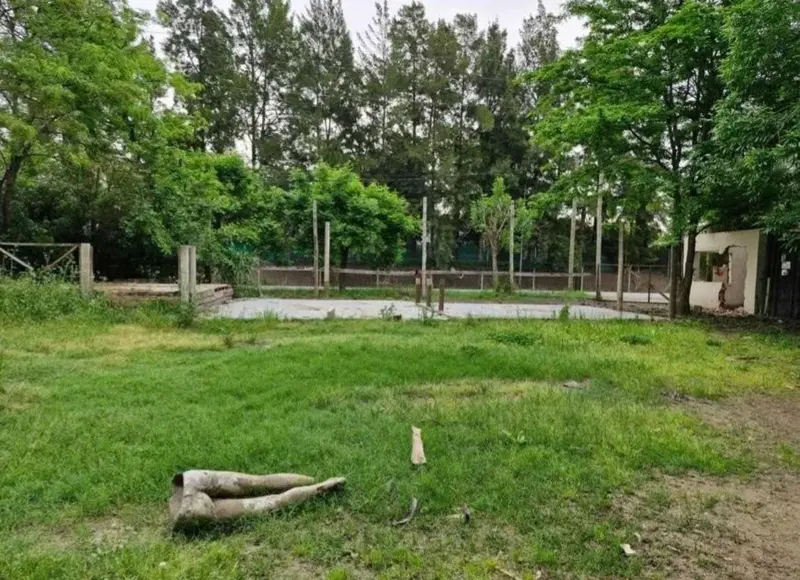 Foto 6