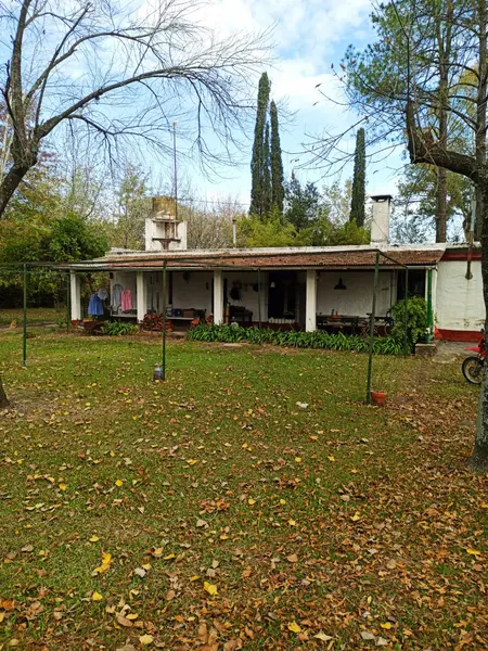 Foto 3
