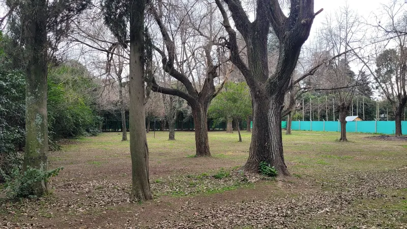 Foto 15