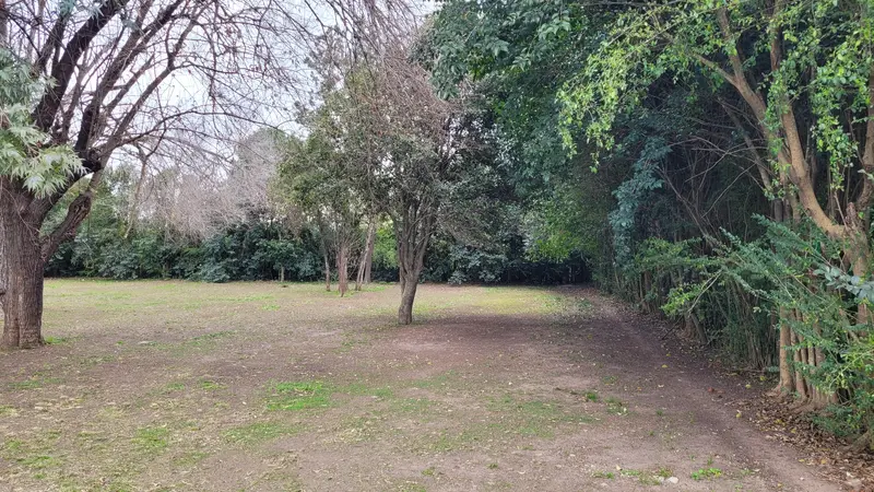 Foto 14