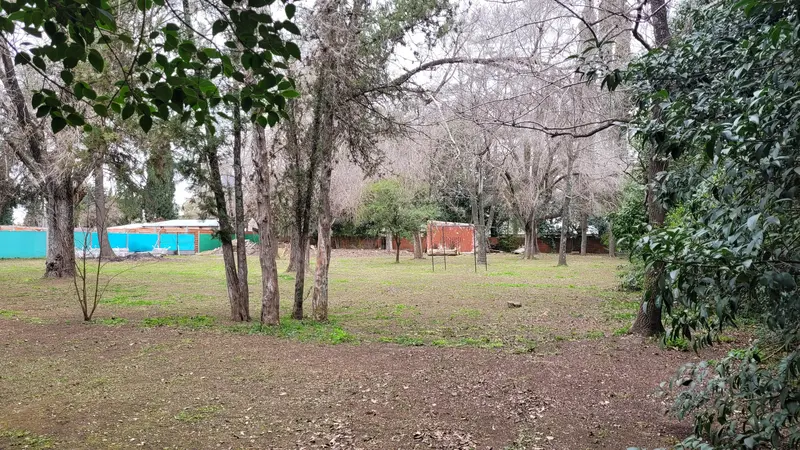 Foto 11