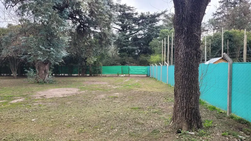 Foto 12