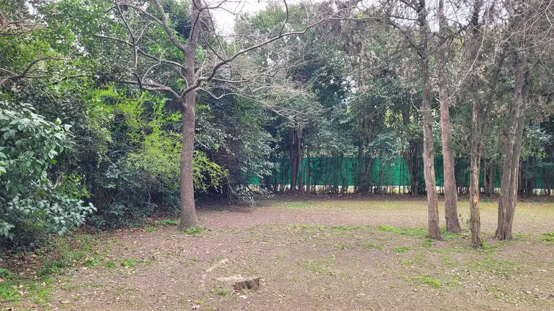 Foto 6