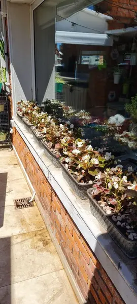 Foto 59