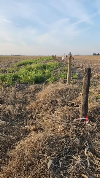 Terreno en venta · Pampayasta Norte, Tercero Arriba, Córdoba