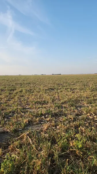 Terreno en venta · Pampayasta Norte, Tercero Arriba, Córdoba