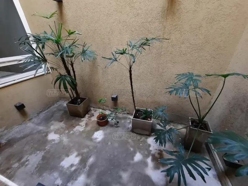 Foto 24