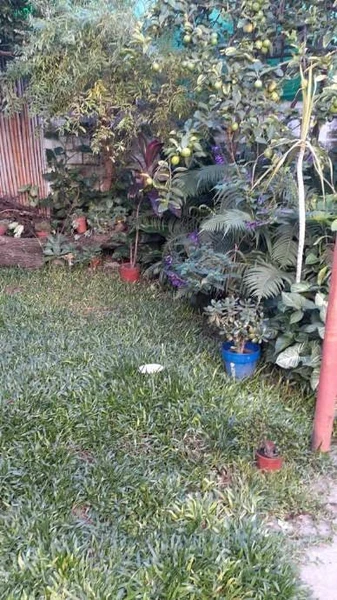 Foto 13