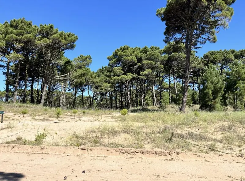 Terreno en venta · Pinamar, Costa Atlántica, Provincia de Buenos Aires