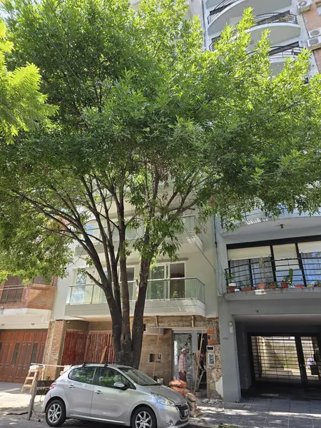 Foto 11