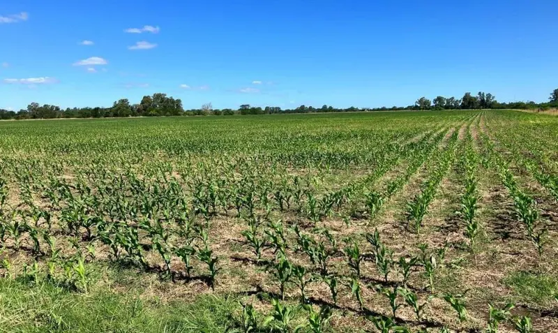 Terreno en venta · Navarro, Navarro, Interior de Buenos Aires, Provincia de Buenos Aires