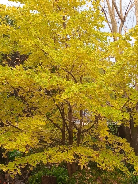 Foto 11
