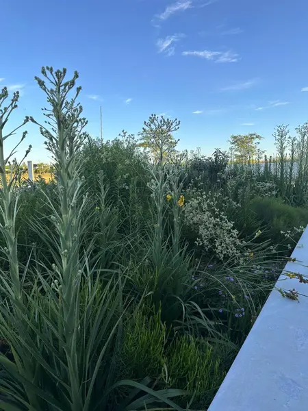Foto 28