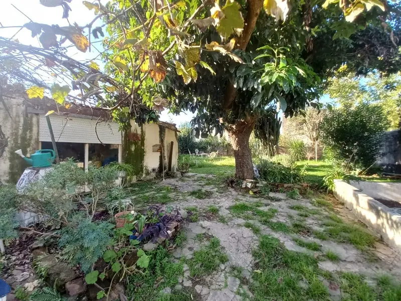 Foto 7