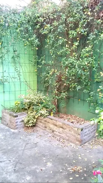 Foto 7