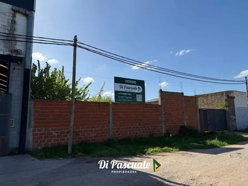 Foto 4