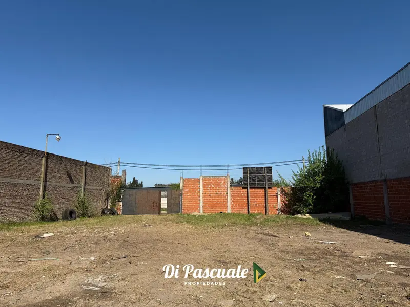 Foto 5