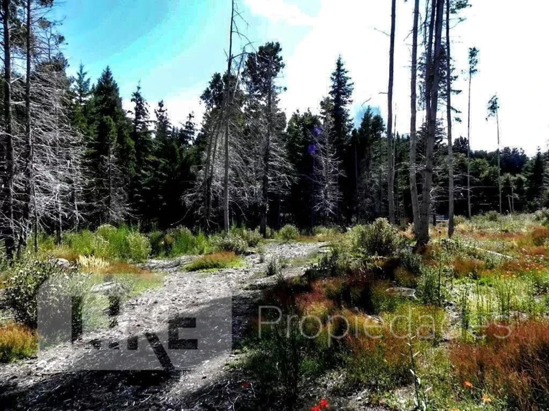 Terreno en venta · San Carlos de Bariloche, Bariloche, Río Negro