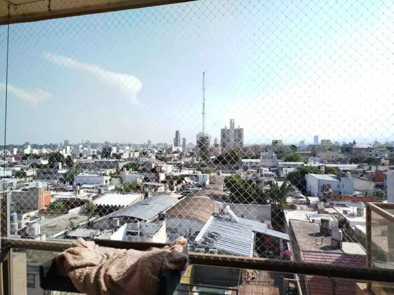 Foto 12