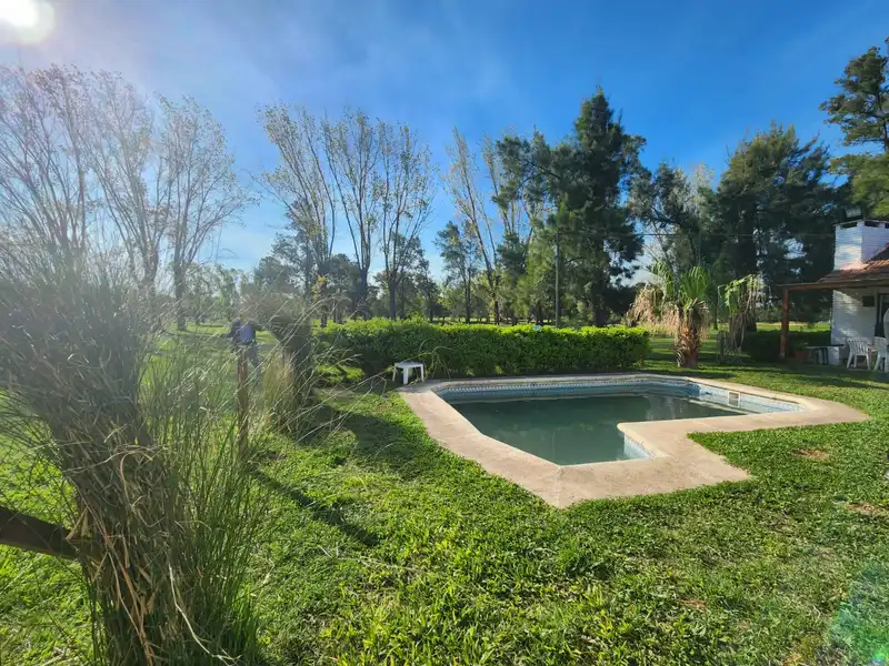 Foto 4