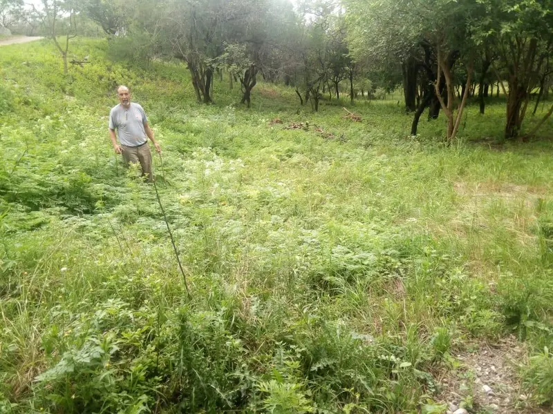 Foto 10