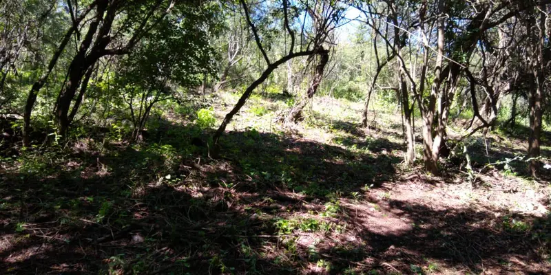 Foto 17