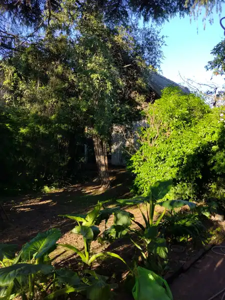 Foto 18
