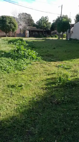 Foto 6
