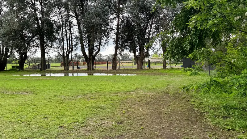 Foto 12