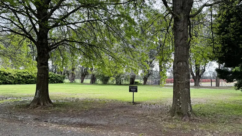 Foto 11