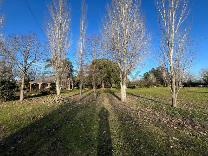 Foto 11