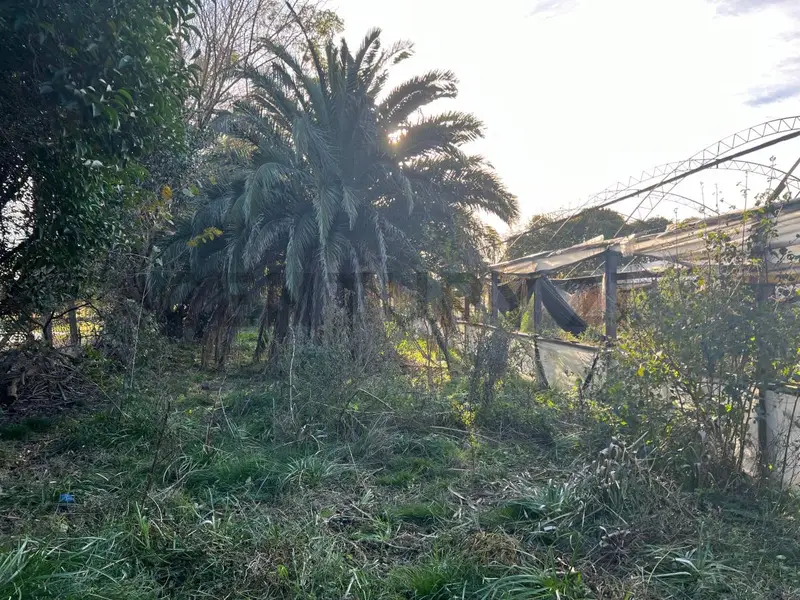 Foto 10
