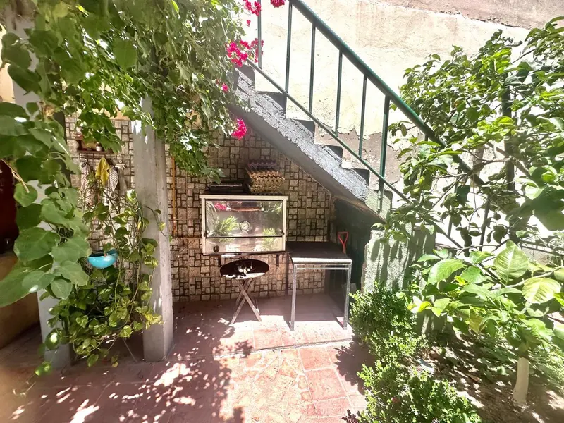 Foto 6