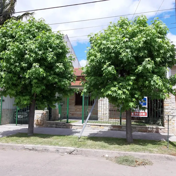 Foto 13