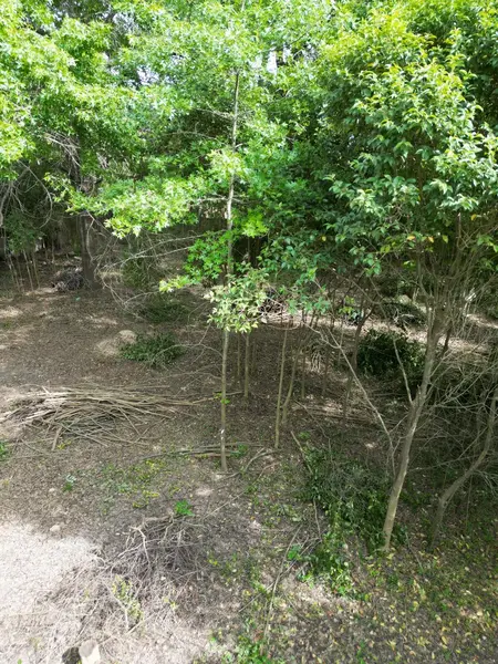 Foto 14