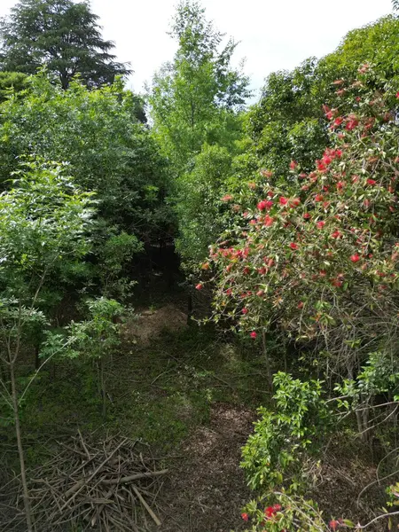Foto 13