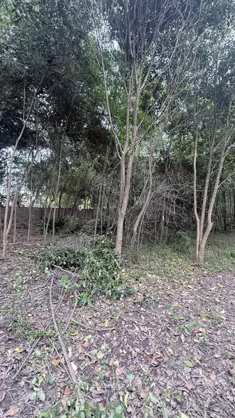 Terreno en venta · Escobar, GBA Norte, Provincia de Buenos Aires
