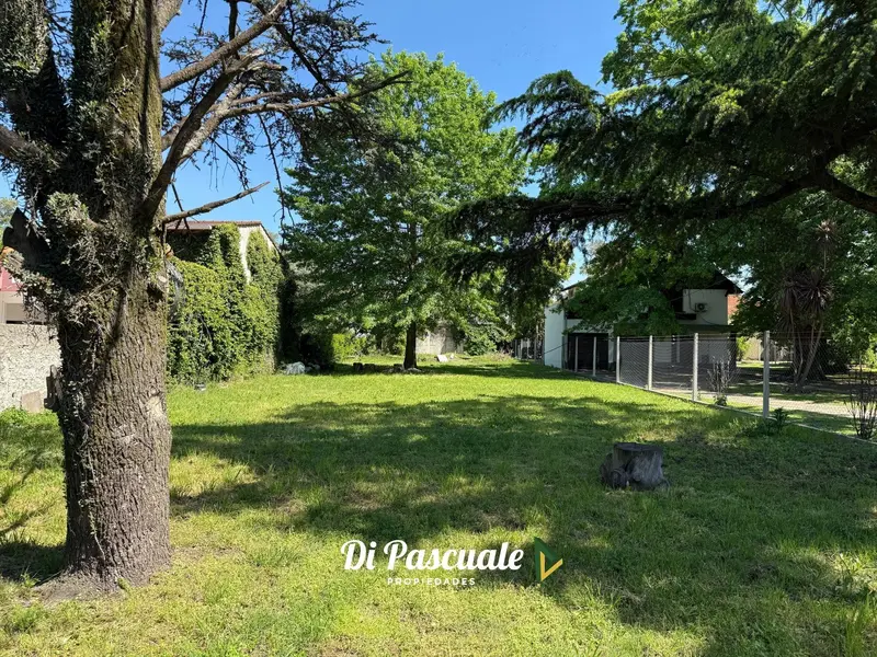 Foto 52