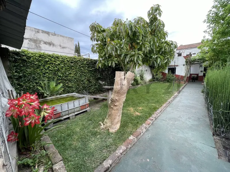 Foto 31