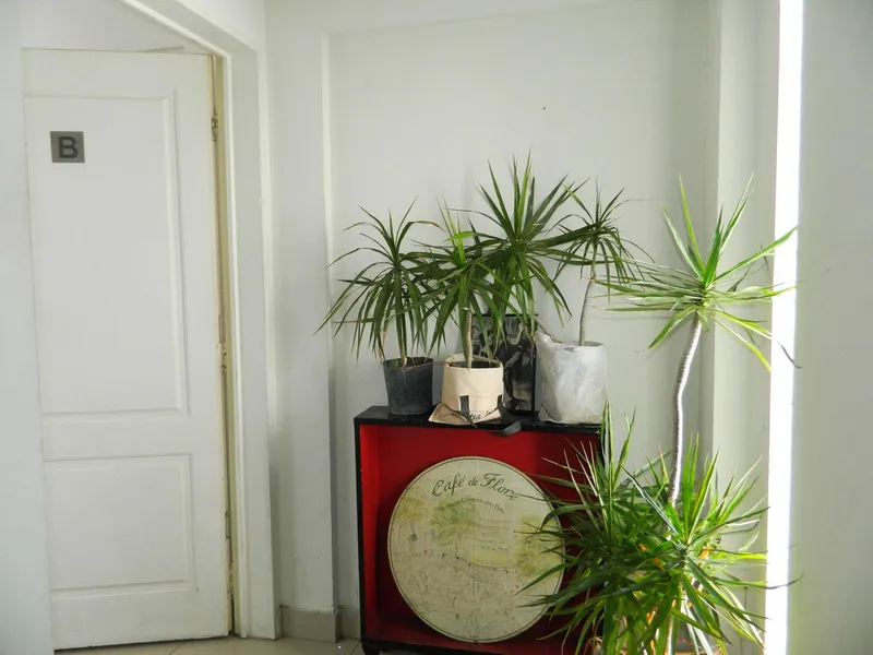 Foto 12