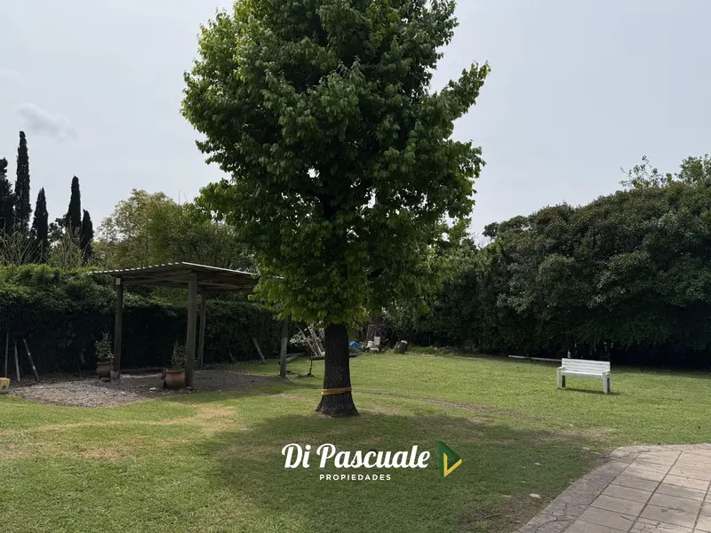 Foto 47