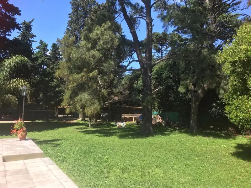 Foto 12