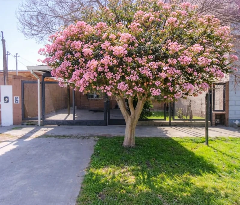 Casa en venta · Ricardo Rojas, Tigre, GBA Norte, Provincia de Buenos Aires